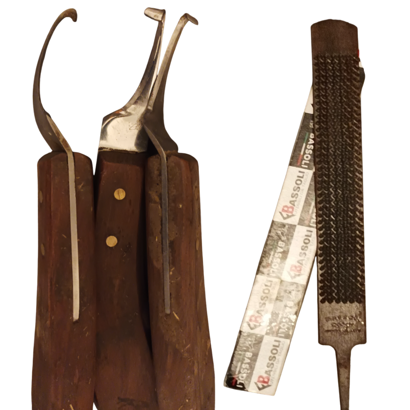 Schärfeservice Messer+Raspeln